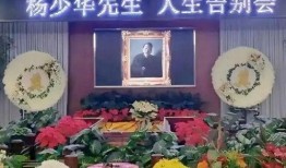 网红爆料被寄花圈视频,揭秘背后惊人真相！